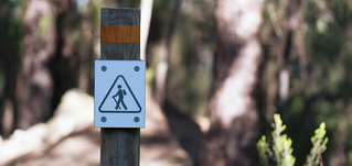 Sign indicating hiking path on a pole, Experience Management  | DXC Technology